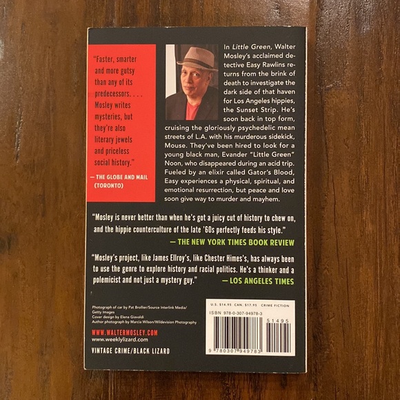 Little Green by National Bestseller Walter Mosley - Novel - Picture 2 of 4